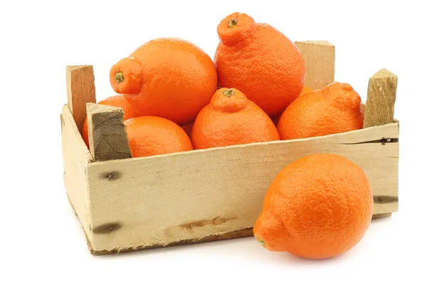 Fresh Colorful Minneola Tangelo Fruit Wooden Crate White Background — Stock Photo, Image