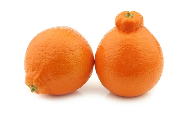 Zwei Frische Minneola Auf Weißem Hintergrund — Stockfoto