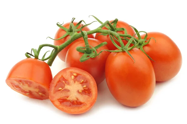 Fresh Colorful Italian Roma Tomatoes Vine White Background — Stock Photo, Image