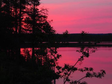  Karelya orman beyaz yaz gecelerinde