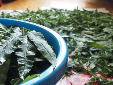  çay için otlar topluluğu