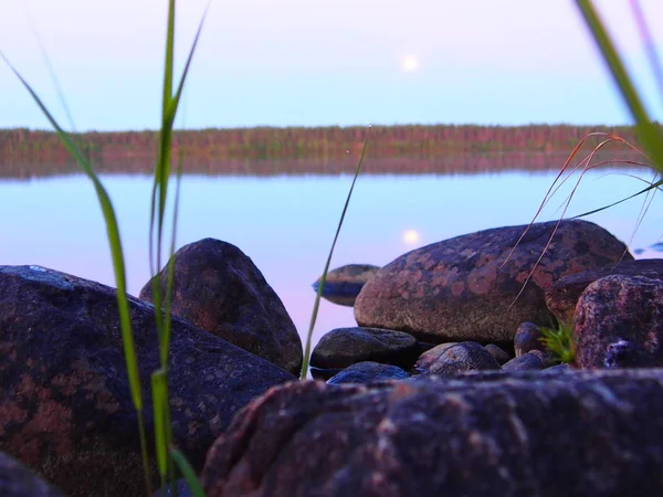 Witte zomeravonden in het Karelische forest — Stockfoto
