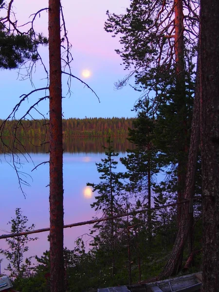 Witte zomeravonden in het Karelische forest — Stockfoto