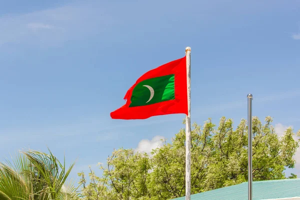 Palmeras y Bandera de Maldivas Imágenes de stock libres de derechos