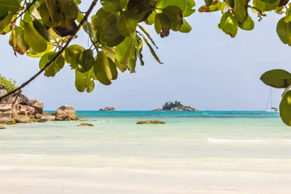 Vacker strand med vit sand och träd — Stockfoto