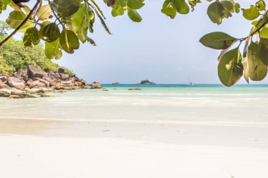 Beyaz kum ve ağaç ile güzel plaj