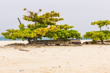 Summer house on the Beach in Tanzania