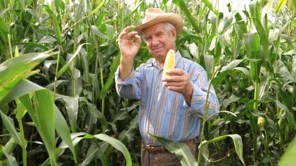 Портрет пожилого фермера в шляпе улыбается держит кукурузу и появляется в порядке — стоковое видео