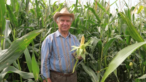 Retrato de un granjero anciano con una sonrisa de sombrero sostiene maíz de mazorca — Vídeos de Stock