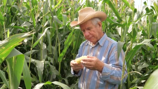 Retrato de um agricultor idoso come milho e mostra um grande polegar para cima — Vídeo de Stock