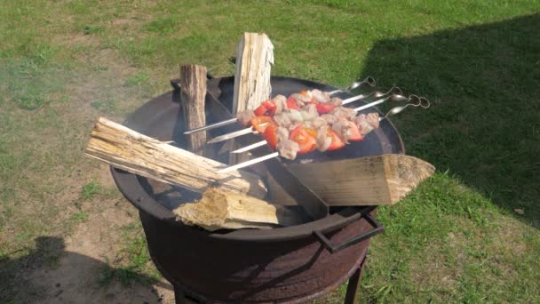 Skewers af kød og grøntsager på skewers kogt på grillen . – Stock-video