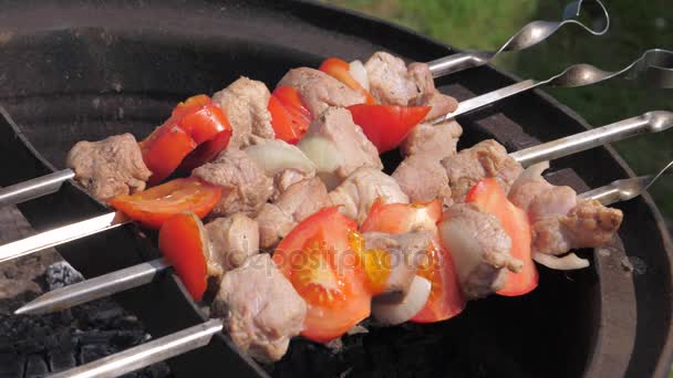 Close-Up van Spiesjes van vlees en groenten op spiesjes en gekookt op de Grill — Stockvideo