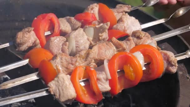 Closeup af mandlige hænder Vend Skewers of Meat med grøntsager – Stock-video