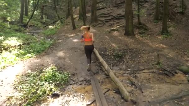 Спортивная и активная красотка, бегущая по лесной тропе, здоровый образ жизни . — стоковое видео