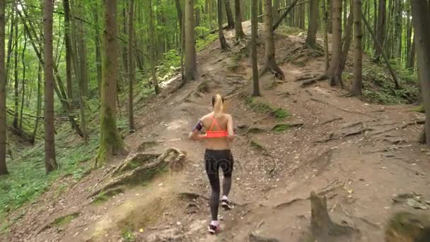 Donna carina sportiva e attiva che corre sul sentiero forestale in salita, vista posteriore — Video Stock