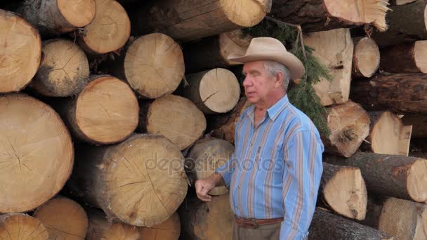 En äldre Man i hatt berättar kameran om loggar av de fällda träd — Stockvideo