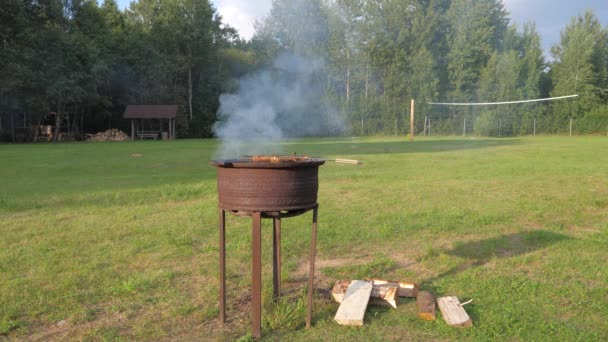 Barbecue sur la pelouse verte en été, la viande de poulet sur le gril se prépare . — Video