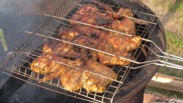 Grande plaque de cuisson Barbecue viande sur le gril — Video