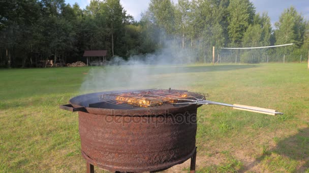 Κρέας του κοτόπουλου που προετοιμάζονται στα κάρβουνα, μπάρμπεκιου — Αρχείο Βίντεο