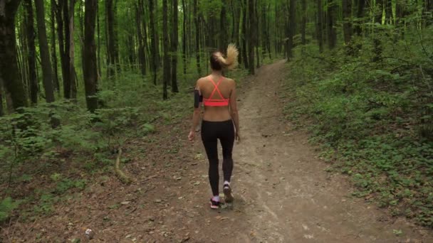 Štíhlé sportovní žena roztáhnout a protažení svalů v parku před spuštěním — Stock video