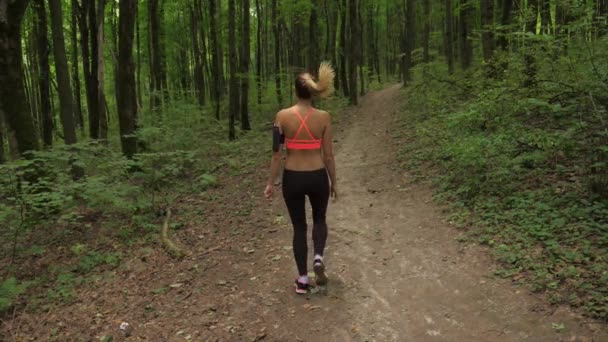 Slanka sport kvinna Stretch och Stretch musklerna i parken innan du kör — Stockvideo