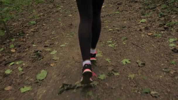 Закрыть дорогу атлетическим женским ногам, бегущим по лесной дороге — стоковое видео