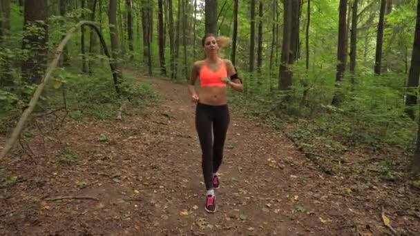 En atletisk kvinna löper längs en skog spår, slutar eftersom Im trött och vila — Stockvideo