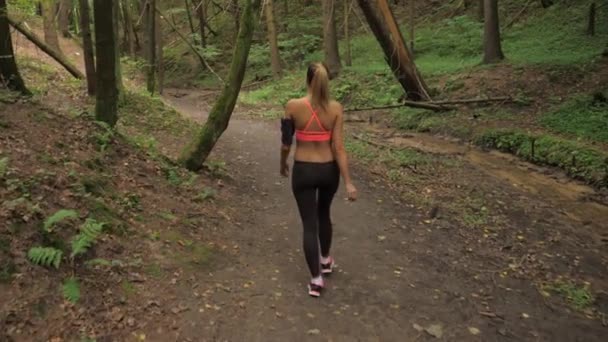 Femme bronzée athlétique va tranquillement le long d'une route forestière, habillée pour le jogging — Video