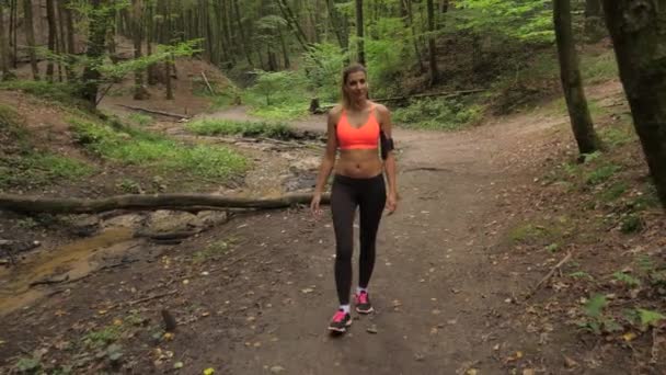 アスレチック日焼け女性はジョギングの服を着て、林道に沿って静かに行く — ストック動画