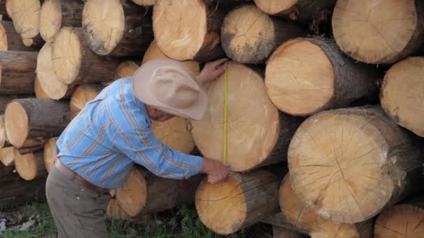 Travailleur de scierie mesure l'épaisseur des billes de bois couché Stacks écrit le résultat — Video