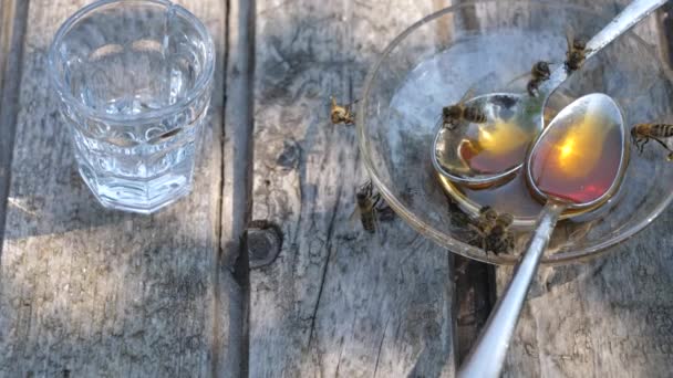 Table après la dégustation du miel et des boissons alcoolisées 