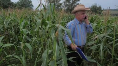 Telefonda konuşurken bir Mısır alanda çiftçi bir klasör belgeler için tutmak.