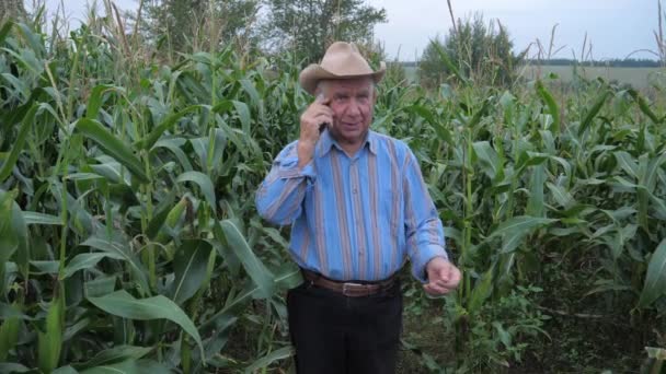 Agricultor em pé em um campo de milho, falando ao telefone, discutindo a colheita — Vídeo de Stock