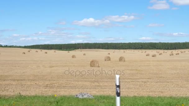 Bewegung in der Nähe eines hügeligen ländlichen Feldes im Sommer mit Heuballen, Zeitlupe 4k — Stockvideo