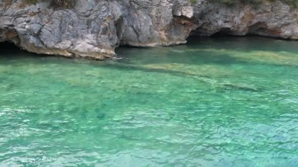 Na skalistym wybrzeżu Adriatyku nad lazurowymi wodami — Wideo stockowe
