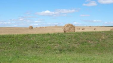 Yaz balya saman, yavaş hareket 4k ile tepelik bir kırsal alanda yakın hareket