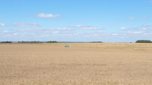 Mouvement à côté du seigle mûr, couleur dorée, récolte 4K — Video