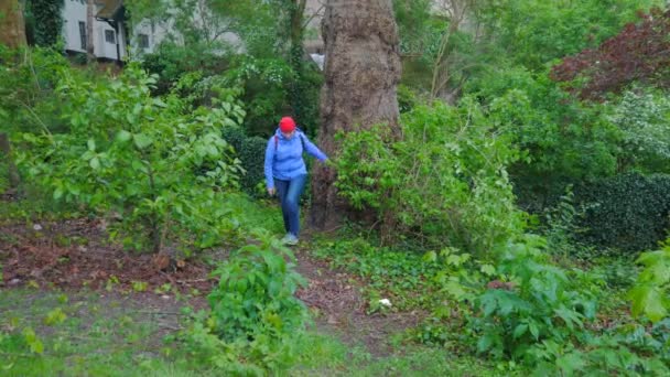 Viajante feminino sobe colina acima na trilha overgrown . — Vídeo de Stock