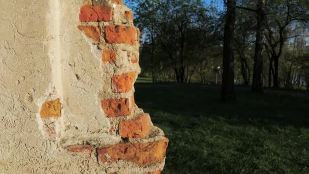 Chica divertida mirando desde la esquina Hamming y mostrando la lengua . — Vídeos de Stock