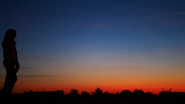 在日落的时候, 一个遛狗的小女孩在天空中的剪影. — 图库视频影像