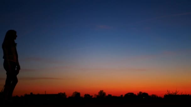 Silhouette di una ragazza che cammina con un cane contro il cielo al tramonto . — Video Stock