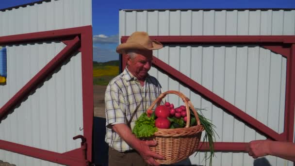 Gubben håller en korg av mogna grönsaker samlas in, och en kvinna undersöker dem. — Stockvideo