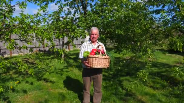 O velho no jardim está segurando uma cesta com legumes maduros . — Vídeo de Stock