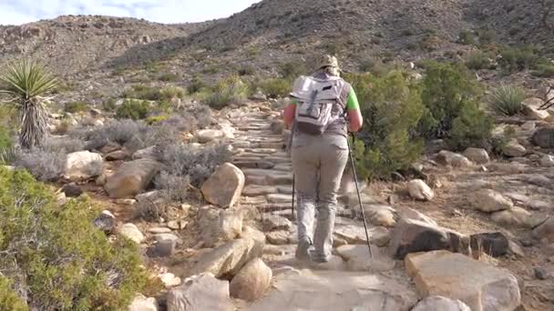 Mulher Turistas até a colina na trilha usando varas de trekking, vista traseira — Vídeo de Stock