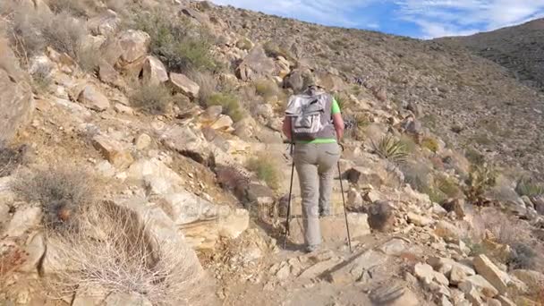 Trilha de mulher caminhando sobe a colina com paus de trekking, vista traseira, câmera lenta — Vídeo de Stock