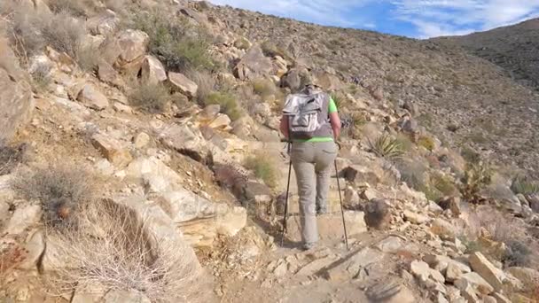 Wanderfrauenweg geht mit Trekkingstöcken den Berg hinauf, Rückansicht, Zeitlupe — Stockvideo