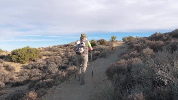 A mozgás a nő turista megy a nyomvonal a Mojave-sivatagban, vissza a nézet — Stock videók