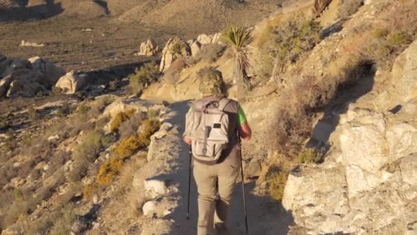 Активний дівчина підходить вниз з пагорба, по стежці в пустелі Мохаве задній вид — стокове відео