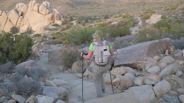 Kobieta wycieczkowicz jadąc w dół wzgórza wzdłuż szlaku na pustyni Mojave, powrót widok — Wideo stockowe