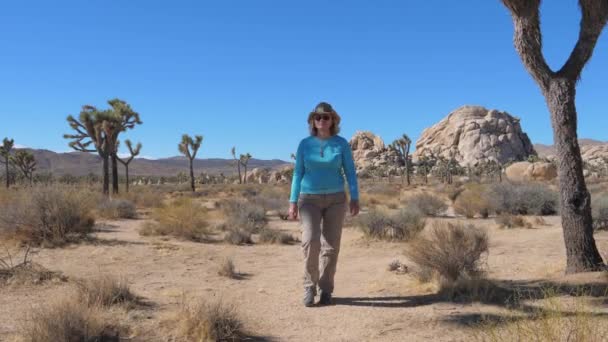 Donna turistica cammina attraverso il deserto in mezzo a cactus, Joshua Tree e massi — Video Stock